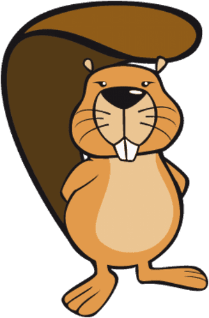 Free Png Mouse Png Images Transparent - Eurasian Beaver PNG image with transparent background