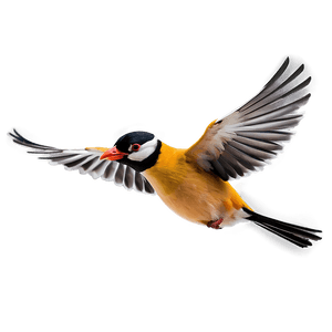 Cartoon Bird Flying PNG 37 PNG