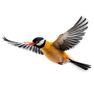 Cartoon Bird Flying Png 37 PNG Image