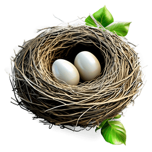 Cartoon Bird Nest PNG vfs25 PNG
