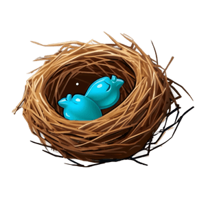 Cartoon Bird Nest PNG vjm PNG