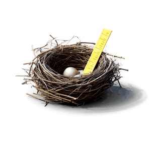 Cartoon Bird Nest PNG vsp44 PNG