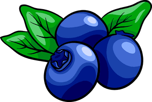 Transparent Blueberry Muffin Clipart - Blueberry Clipart Png, Png Download PNG image with transparent background