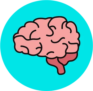 Cartoon Brain Illustration PNG Image