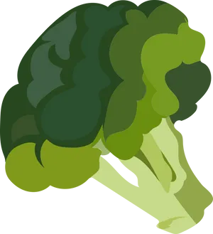 Cartoon Broccoli Illustration PNG Image