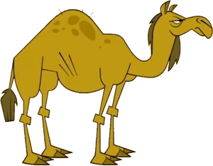 Cartoon Camel Illustration PNG Image