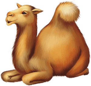 Cartoon Camel Images Png, Transparent Png PNG image with transparent background