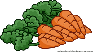 Cartoon Carrots Bunch Illustration PNG image with transparent background