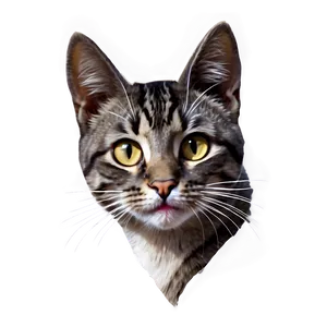 Cartoon Cat Head Graphic Png 64 PNG Image