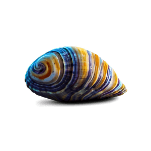 Cartoon Clam PNG rsp52 PNG image with transparent background