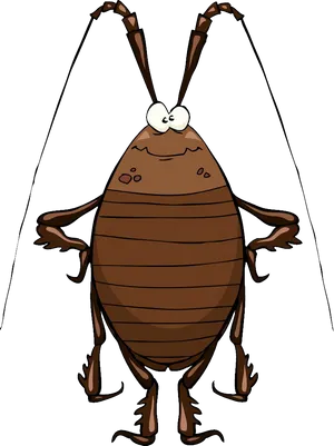 Cartoon Cockroach Standing PNG Image