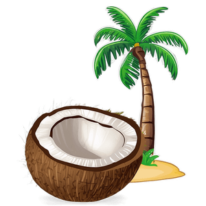 Cartoon Coconut Tree PNG lwj PNG