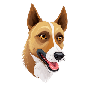 Cartoon Dog Head PNG iln PNG