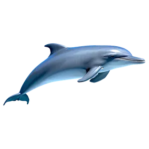 Cartoon Dolphin In Ocean Png Sut PNG Image