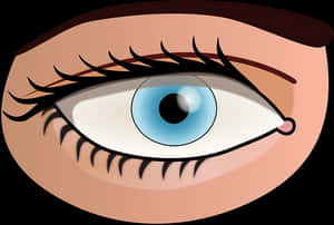 Cartoon Eye Illustration PNG image with transparent background