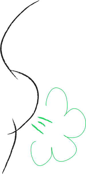 Line Art, HD Png Download PNG image with transparent background