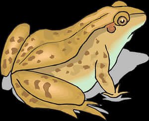 Cartoon Frog Illustration PNG image with transparent background