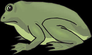 Cartoon Frog Side View Illustration PNG image with transparent background