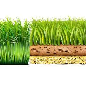 Cartoon Grass Png Lfr90 PNG Image