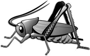 Cartoon Grasshopper Illustration PNG Image