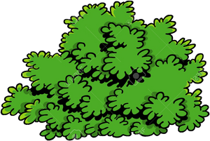 Transparent Shrub Clipart - Cartoon Bush Plant, HD Png Download PNG with transparent background