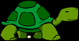 Cartoon Green Turtle Illustration PNG image with transparent background