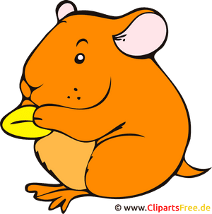 Hamster Clipart, Bild, Cartoon Kostenlos - Hamster Clipart, HD Png Download PNG image with transparent background
