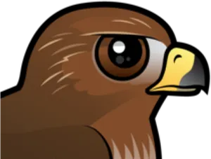 Cartoon Hawk Profile PNG Image