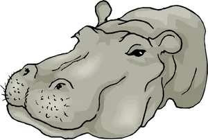 Cartoon Hippopotamus Head Illustration PNG Image