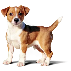 Cartoon Jack Russell Puppy Png Ioh5 PNG Image