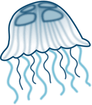 Transparent Jellyfish Png - Jelly Fish Clip Art, Png Download PNG image with transparent background