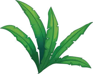 Cartoon Jungle Foliage PNG Image