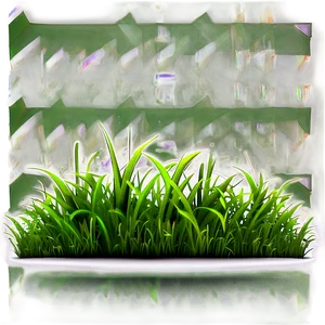 Cartoon Lawn Grass Png 34 PNG Image