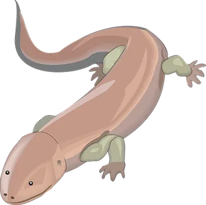 Cartoon Lizard Illustration PNG Image