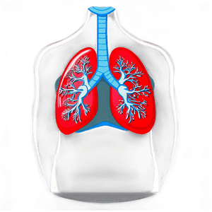 Cartoon Lungs Character PNG 54 PNG