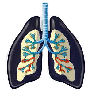 Cartoon Lungs Character PNG 6 PNG