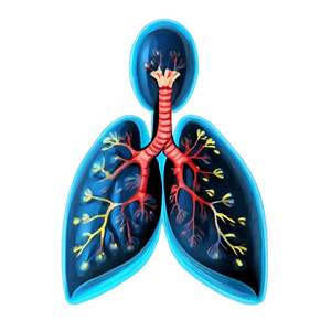 Cartoon Lungs Character PNG 70 PNG