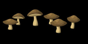 Cartoon_ Mushrooms_on_ Black_ Background PNG image with transparent background