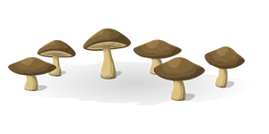 Cartoon_ Mushrooms_on_ Black_ Background PNG Image