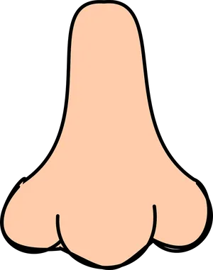 Cartoon Nose Graphic PNG Image