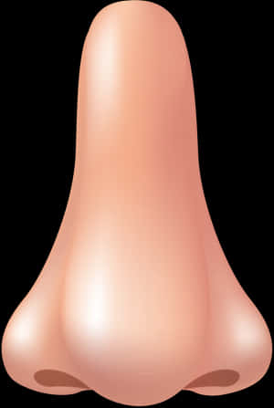 Transparent Background Nose Png, Png Download PNG image with transparent background