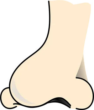 Cartoon Nose Profile Illustration PNG Image