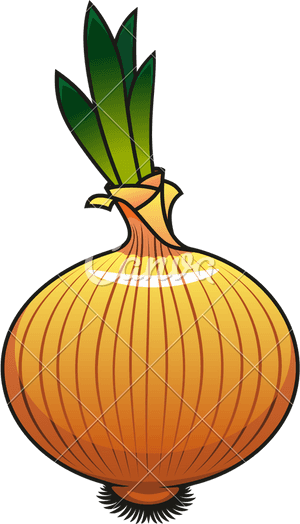 Onion Icon Design - Icon Cebolla Png, Transparent Png PNG image with transparent background