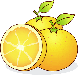 Clip Art Citrus Fruit, HD Png Download PNG