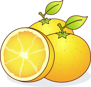 Cartoon Oranges Illustration PNG Image