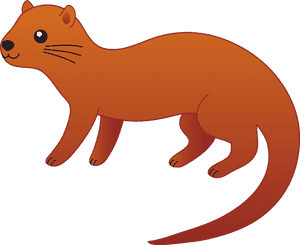Otter Transparent Png - Clipart Otter, Png Download PNG image with transparent background