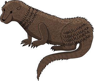 Otter Clipart - North American River Otter, HD Png Download PNG image with transparent background