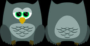 Cartoon Owl Before After Illustration PNG image with transparent background