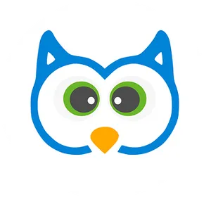 Cartoon Owl Icon PNG Image