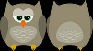 Cartoon Owls Sideby Side PNG image with transparent background